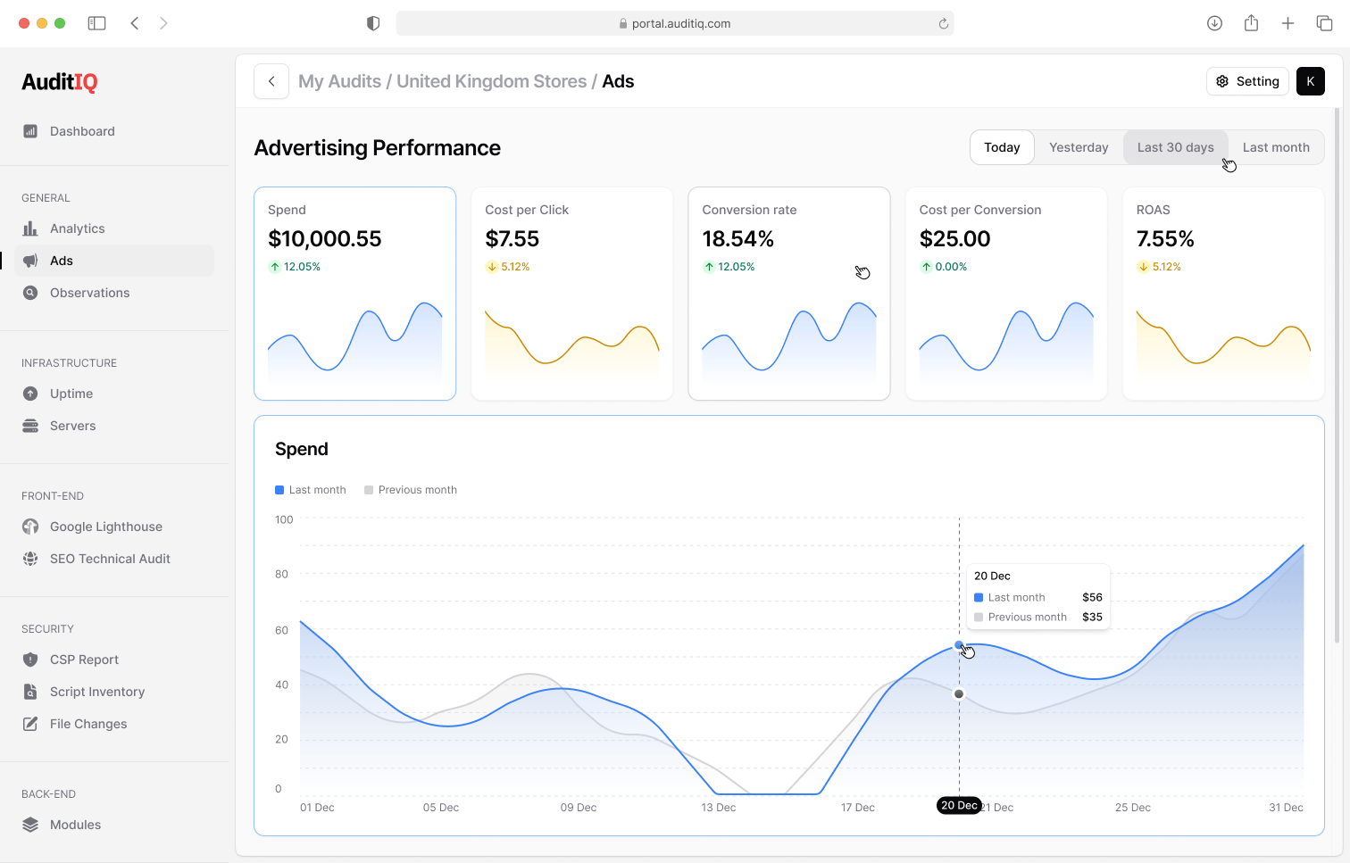 AuditIQ Ads page showing Google Ads spend, conversions, and ROAS